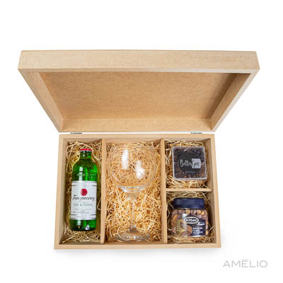Kit Gin Tonica com taça e aperitivos