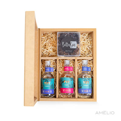 Kit 3 Gin YVY 50ml com especiarias